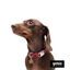 Gotoo Collar estampado cachemira rojo para perros, , large indicador imagen numero 4