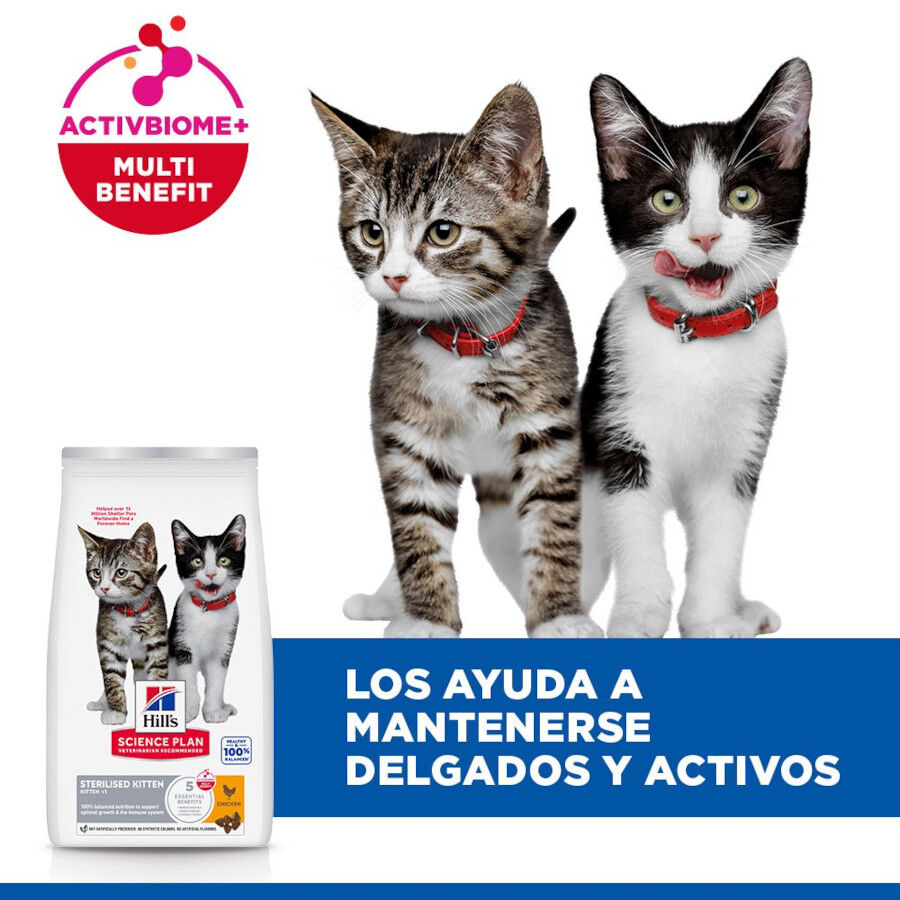 7 kg Hill's Science Plan Sterilised Kitten Pollo pienso para gatos, , large Imagen numero 4