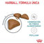 10 kg Royal Canin Intense Hairball pienso para gatos, , large indicador imagen numero 4