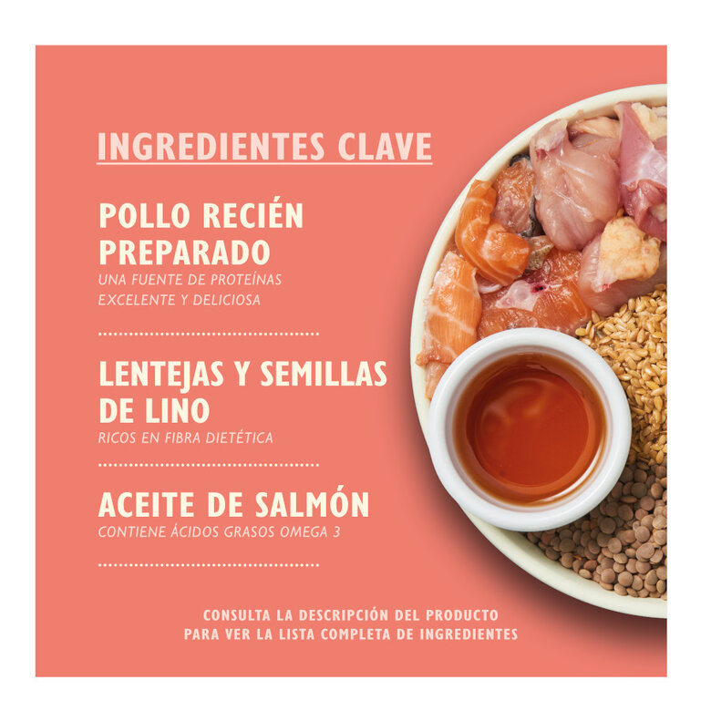 2.5 kg Lily's Kitchen Puppy Pollo y Salmón pienso para cachorros,  Imagen numero 2 2.5 kg Lily's Kitchen Puppy Pollo y Salmón pienso para cachorros, , large Imagen numero 2