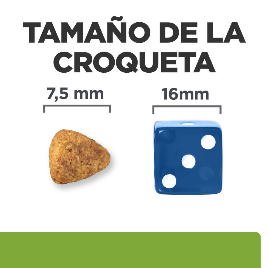 6 kg Hill's Prescription Diet Metabolic + Mobility Mini j/d pienso para perros, , large Imagen numero 6