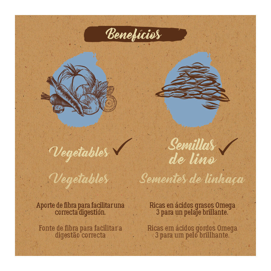 True Origins Pure Adult Medium Maxi Salmón pienso para perros thumbnail