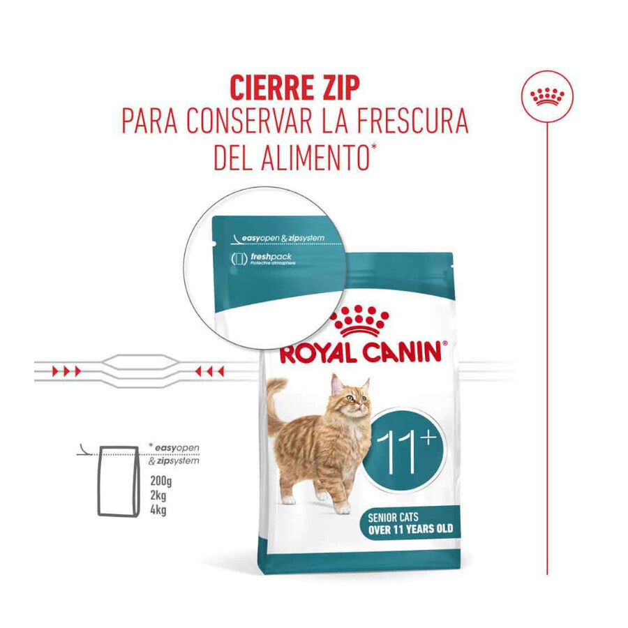 Royal Canin Ageing 11+ pienso para gatos thumbnail