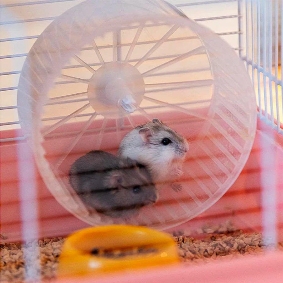 Ferplast Criceti 9 Princesas Blanca Jaula para roedores, , large Imagen numero 5