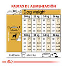 Royal Canin Adult Dálmata pienso para perros, , large image number null