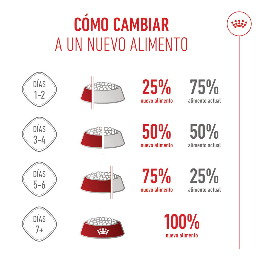 Royal Canin Medium Starter Mother&amp;Baby pienso para perros thumbnail