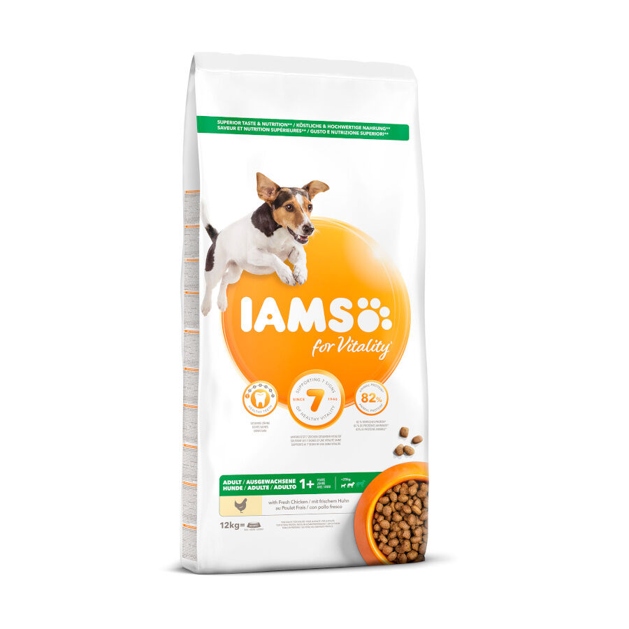 IAMS Proactive pienso para perros Imagen numero 1