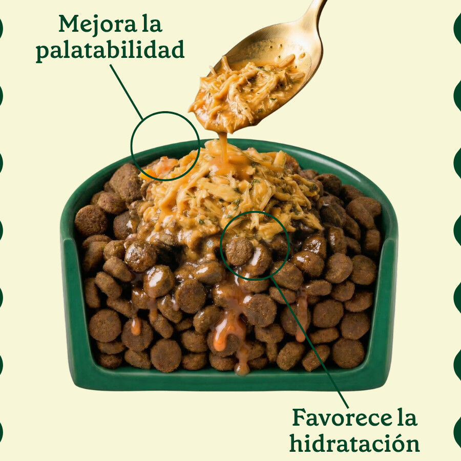 85 g Wild Balance Toppers Pollo salsa para perros, , large Imagen numero 3