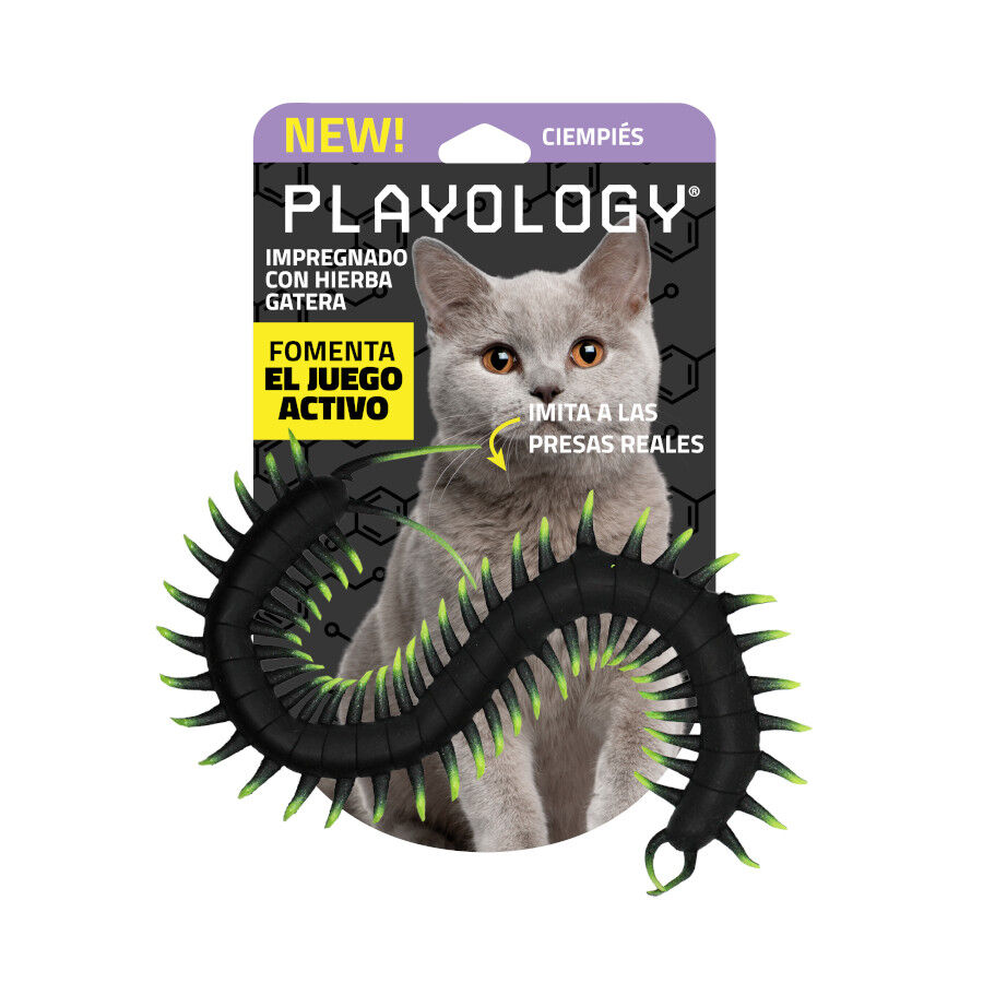 Playology Ciempi&eacute;s de Pl&aacute;stico para gatos, , large Imagen numero 4