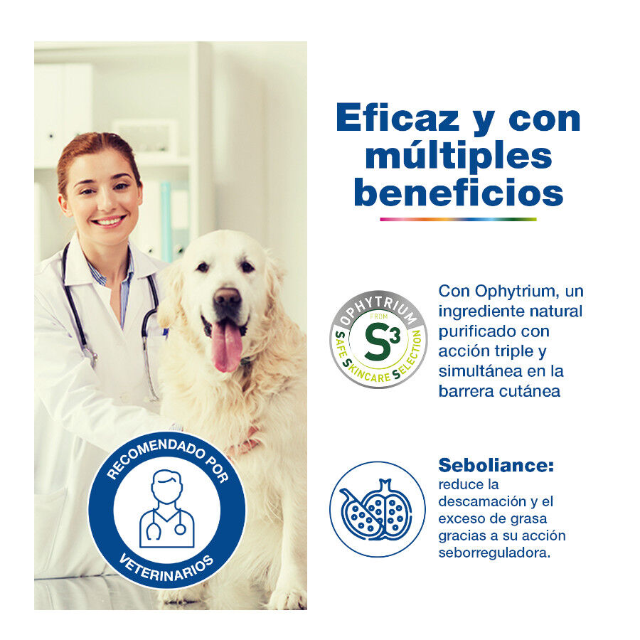 Ceva Douxo S3 Seb Champú en Mousse para mascotas thumbnail