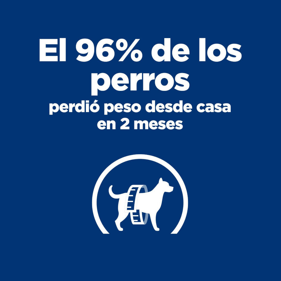 12 kg Hill's Prescription Diet Metabolic Pollo pienso para perros, , large Imagen numero 4