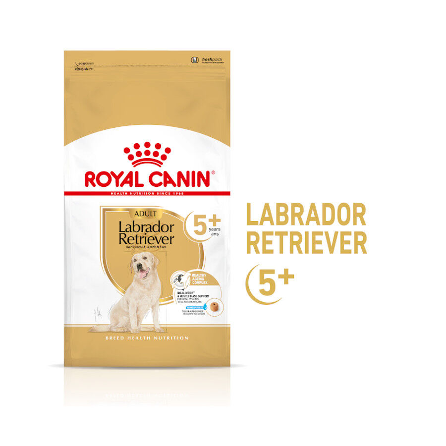Royal Canin Adult 5+ Labrador pienso para perros thumbnail