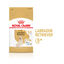 Royal Canin Adult 5+ Labrador pienso para perros, , large indicador imagen numero 2