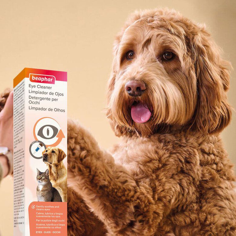 Beaphar Limpiador de Ojos para perros y gatos thumbnail