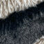 Tootoy! Comfort Skinny Racoon peluche con sonido crujiente para perros, , large indicador imagen numero 3