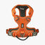 Dog Copenhagen Comfort Walk Pro Arnés Naranja para perros, , large indicador imagen numero 2