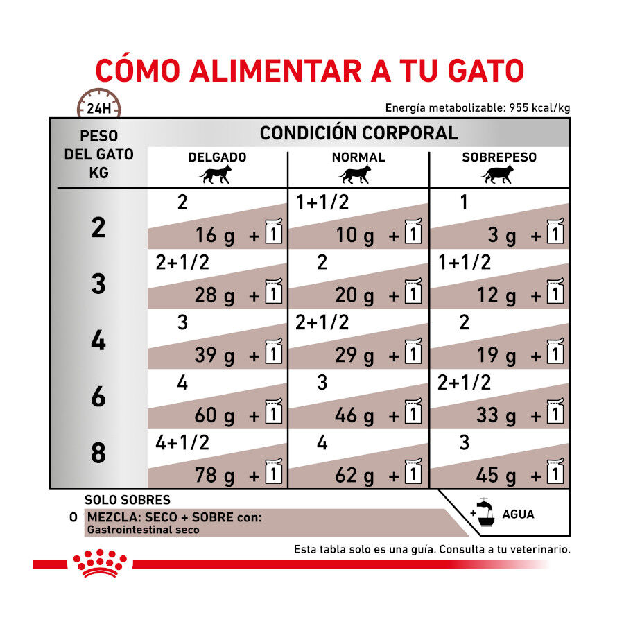Royal Canin Veterinary Gastrointestinal sobre en salsa para gatos thumbnail