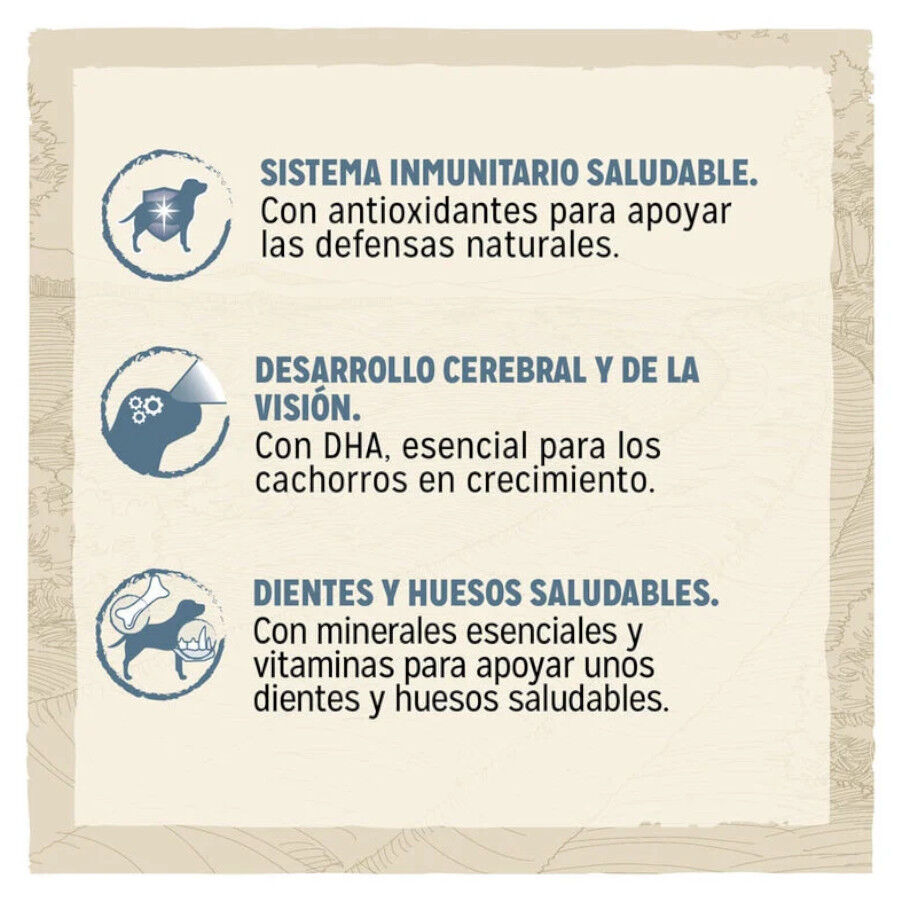 Dog Chow Puppy Cordero pienso para cachorros thumbnail