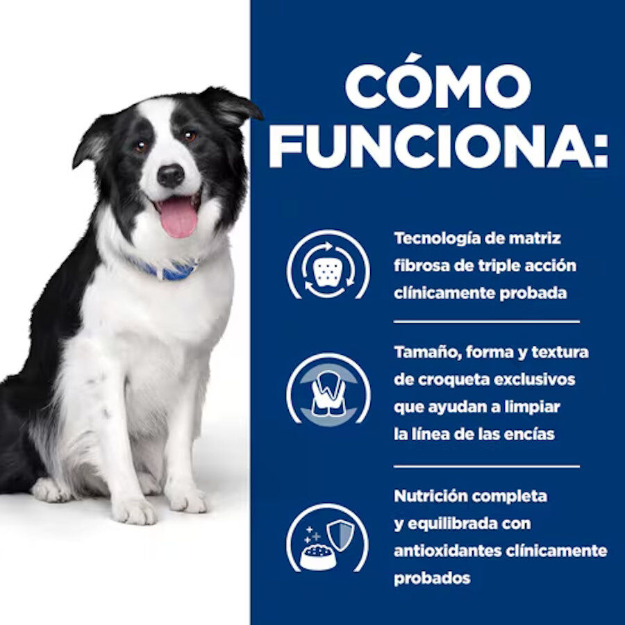 Hill&#039;s Prescription Diet t/d Dental Care Pollo pienso para perros medianos thumbnail