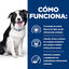Hill's Prescription Diet t/d Dental Care Pollo pienso para perros medianos, , large indicador imagen numero 5