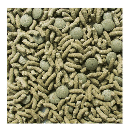 Sera Raffy Vital Comida para reptiles herbívoros, , large image number null