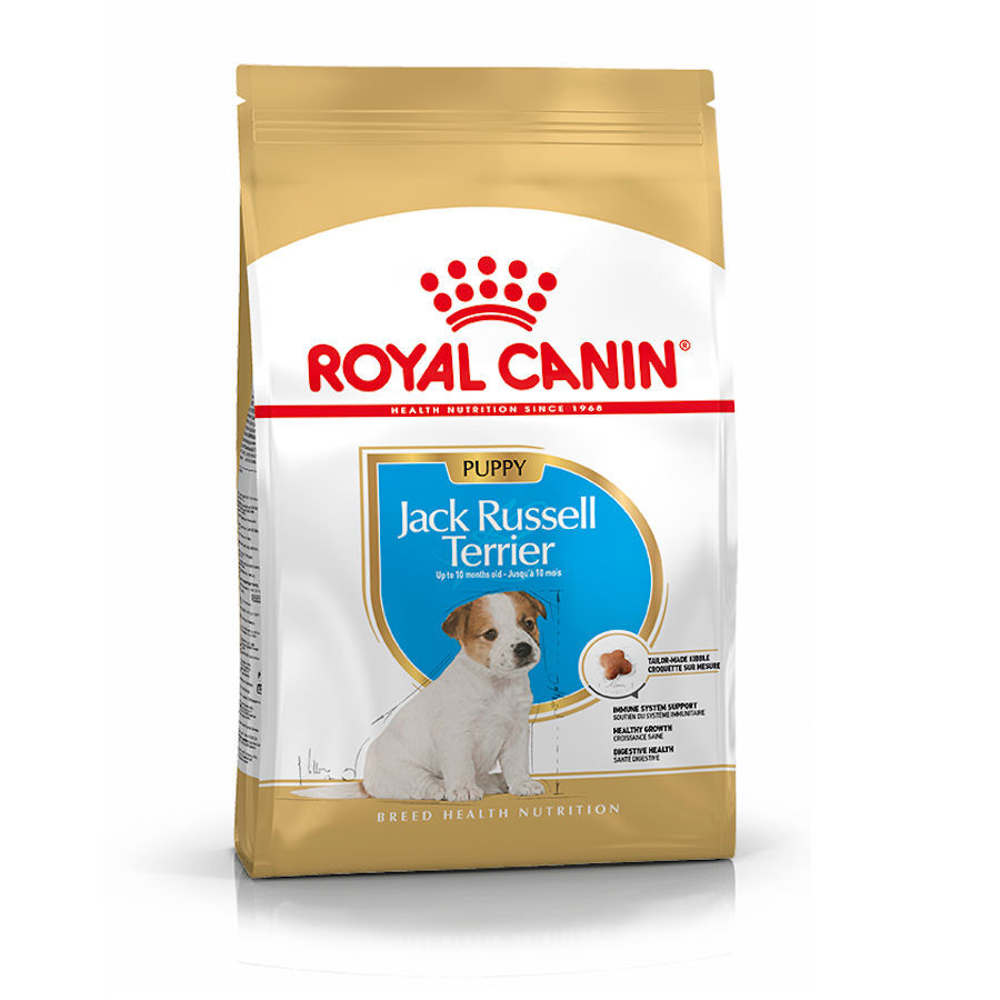 Royal Canin Puppy Jack Russell Terrier pienso para perros