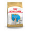 Royal Canin Puppy Jack Russell Terrier pienso para perros, , large indicador imagen numero 1