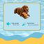 Summer Vibes Pawperol Spritz Peluche Juguete para perros, , large indicador imagen numero 3