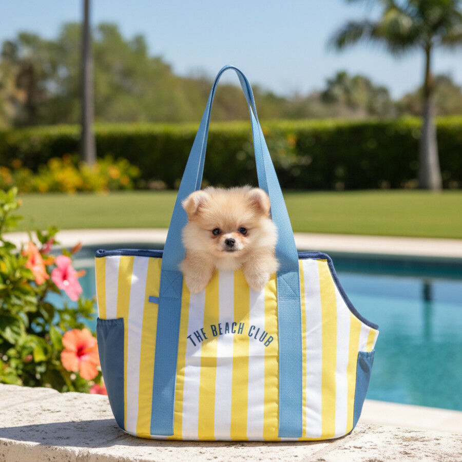 Summer Vibes Bolso Amarillo de Rayas para cachorros, , large Imagen numero 1