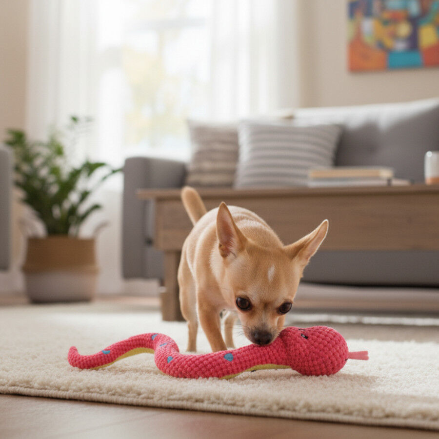 Tootoy! Serpiente Mordedor de Peluche Rosa para perros, , large Imagen numero 1