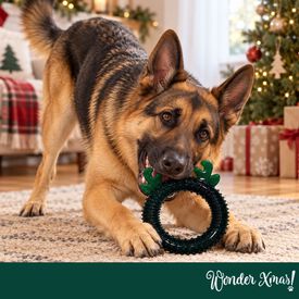 Wonder Christmas Aro de Reno Juguete para perros