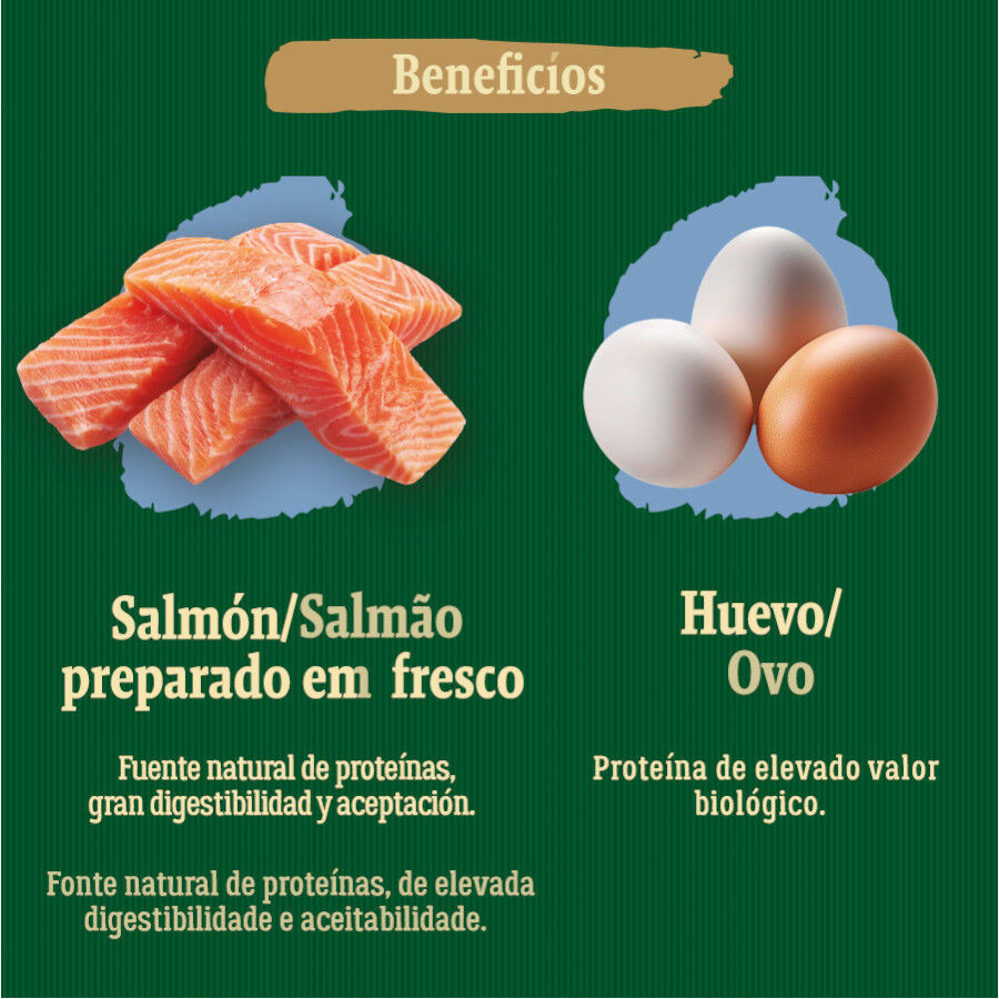 12 kg True Origins Wild Puppy Pacific pienso para perros, , large Imagen numero 5