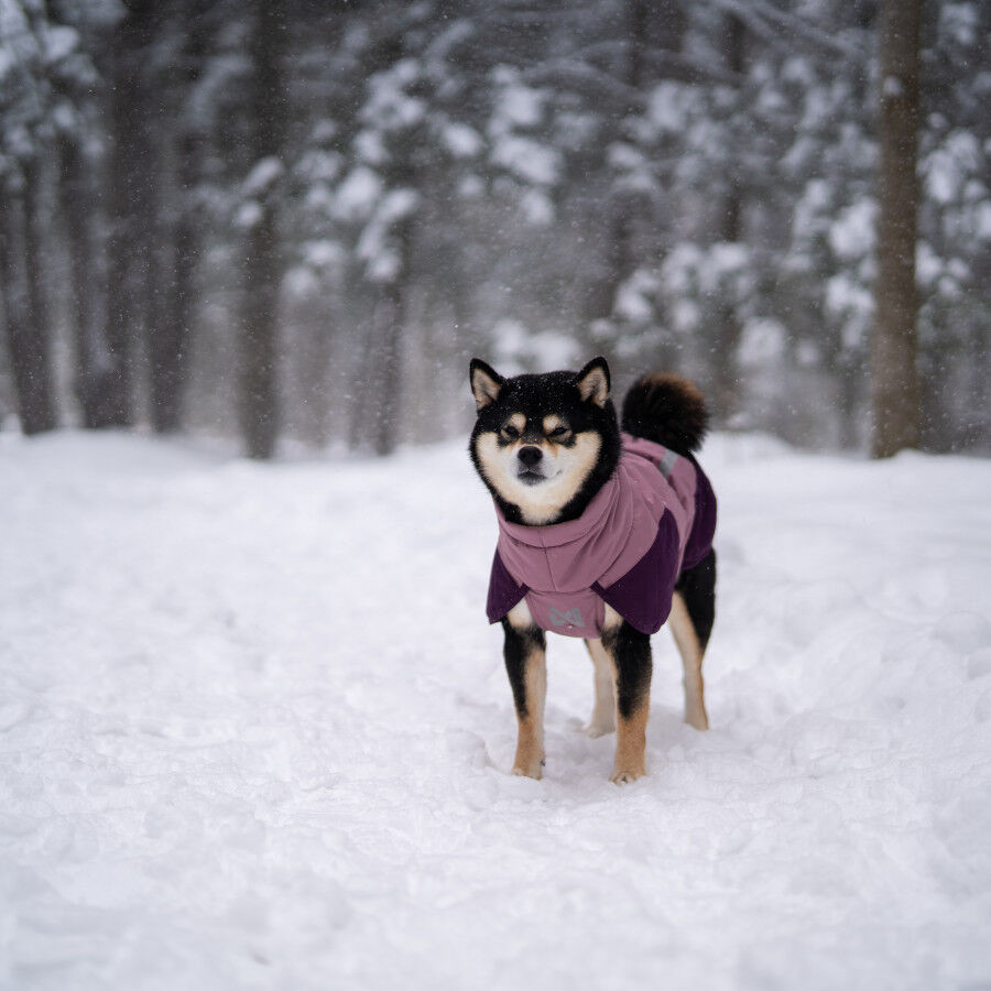 Non-stop Dogwear Chaqueta Malva para perros, , large Imagen numero 2