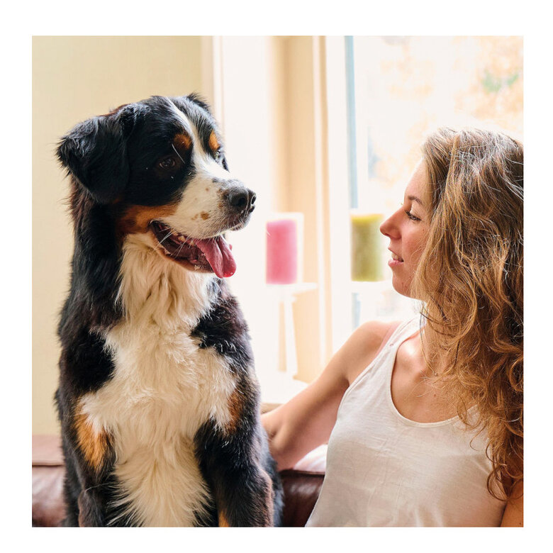 Beaphar Spray Aliento Fresco Perros y Gatos,  Imagen numero 4 Beaphar Spray Aliento Fresco Perros y Gatos, , large Imagen numero 4