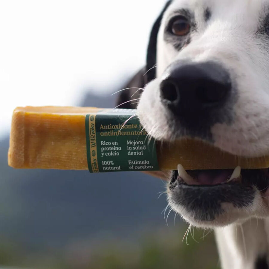 1 barrita Wild Balance Yaky Barrita Mordedora con C&uacute;rcuma para perros grandes, , large Imagen numero 2