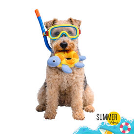 Summer Vibes Peluche Flotante Tortuga Juguete para perros