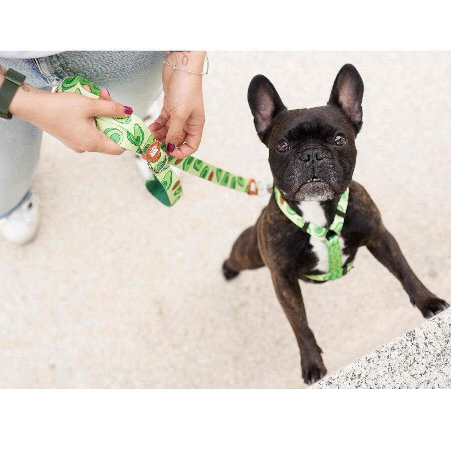 Dukier Arnés Clásico Estampado Aguacate para perros thumbnail