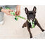Dukier Arnés Clásico Estampado Aguacate para perros, , large indicador imagen numero 3