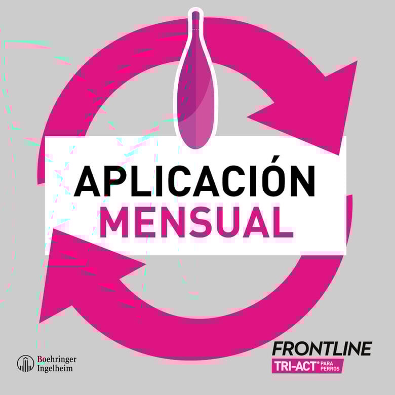 Frontline Tri-Act Pipetas Antiparasitarias para perros,  Imagen numero 4 Frontline Tri-Act Pipetas Antiparasitarias para perros, , large Imagen numero 4