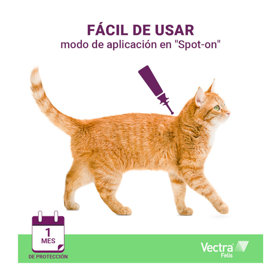 Vectra Felis Pipetas Antiparasitarias para gatos thumbnail