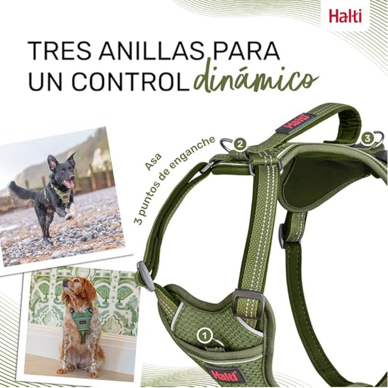 Halti arnés anatómico con asa verde para perros thumbnail