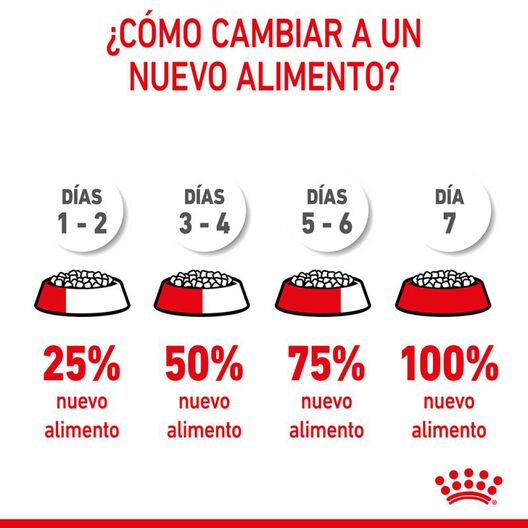 Royal Canin Kitten pienso para gatos, , large image number null