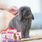 Beaphar RabbitComfort Spray Tranquilizante para conejos, , large image number null