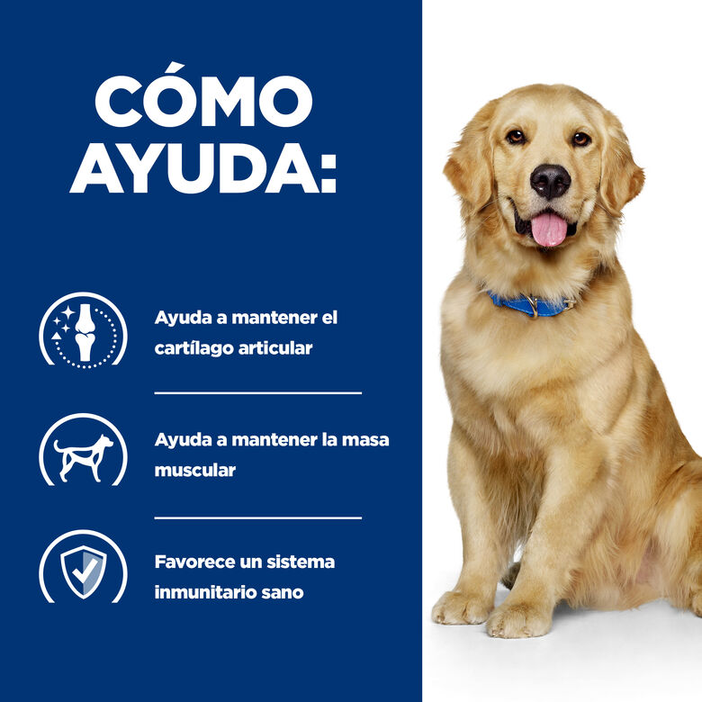 Hill&#039;s Prescription Diet Joint Care j/d Reduced Calorie Pollo pienso para perros thumbnail
