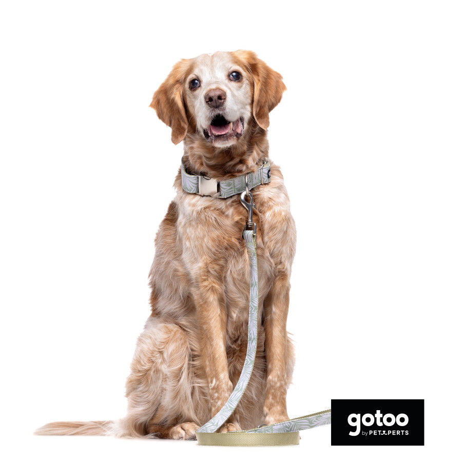 Collar estampado de hojas para perros thumbnail