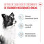 3 kg Royal Canin X-Small Puppy pienso para perros, , large indicador imagen numero 3
