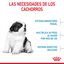 15 kg Royal Canin Puppy Giant pienso para perros, , large indicador imagen numero 4