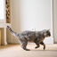 Beaphar CatComfort Difusor Relajante con Recambio para gatos, , large indicador imagen numero 4