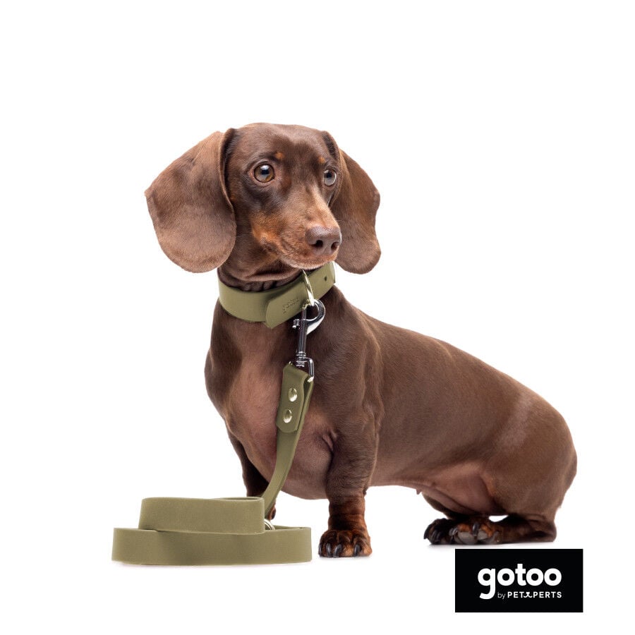 Gotoo Collar Biothane verde oliva para perros, , large Imagen numero 10