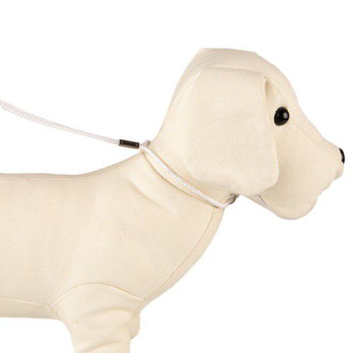 TK-Pet blanco collar-correa de exposici&oacute;n perros Imagen numero 1